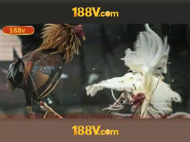 188V – khái niệm điện áp và cảm hứng nghệ thuật