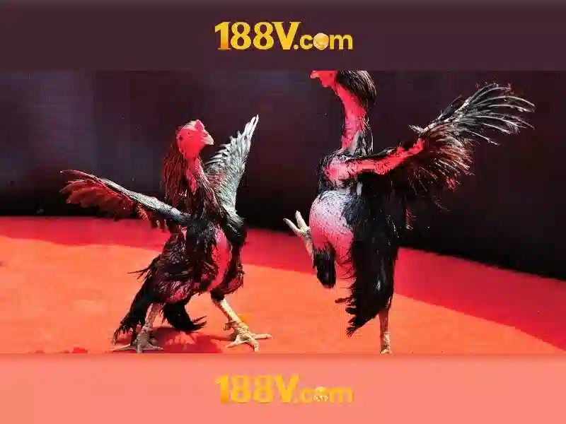 Nguồn gốc và cảm hứng