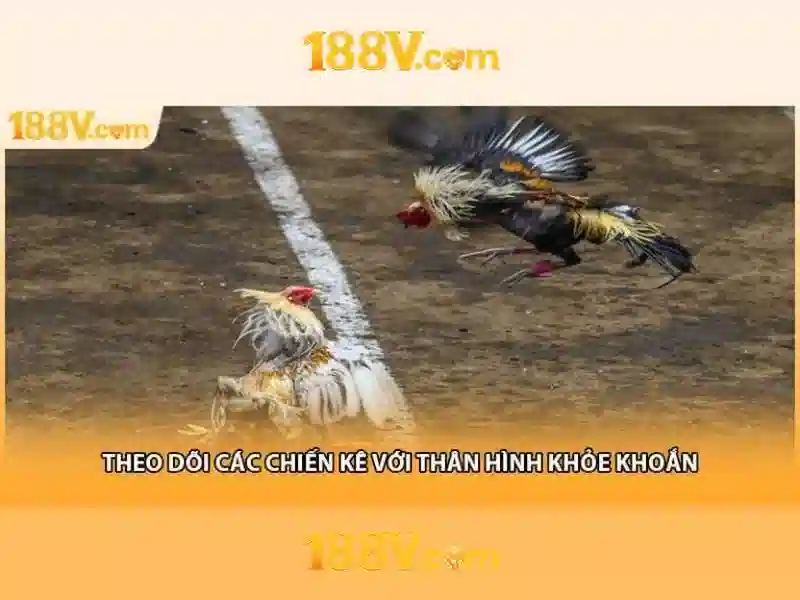 Nguồn gốc và phát triển