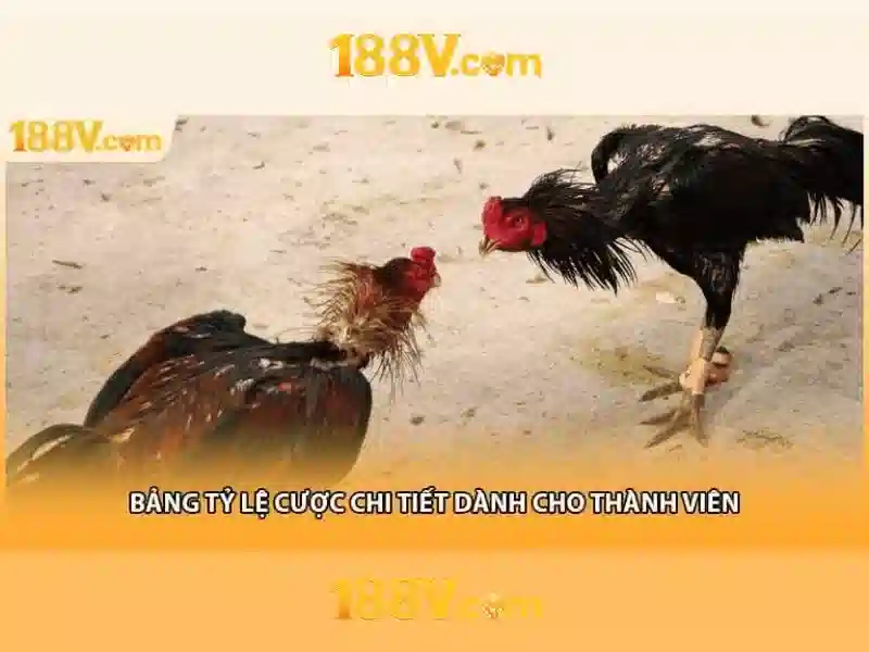 Tương lai của 188v