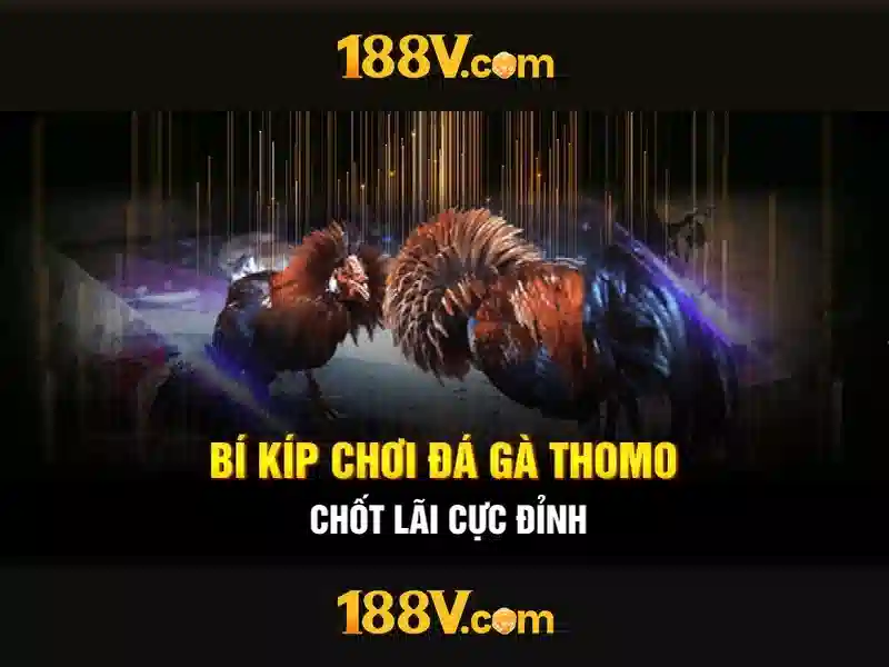 Khám phá 188v như một khởi nguồn của năng lượng sáng tạo