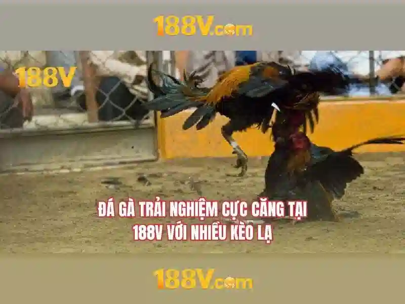 đăng nhập 188v – Tổng quan chủ đề và giá trị cốt lõi