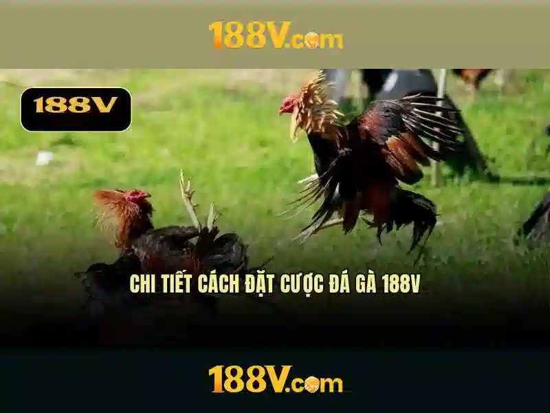 Khám phá nguồn cảm hứng và công nghệ phía sau 188V