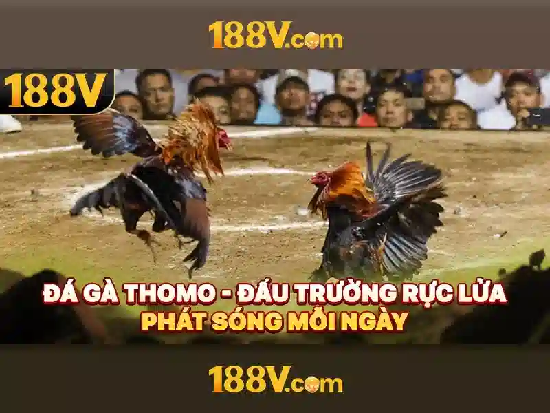 Ảnh hưởng tới cộng đồng và thị trường