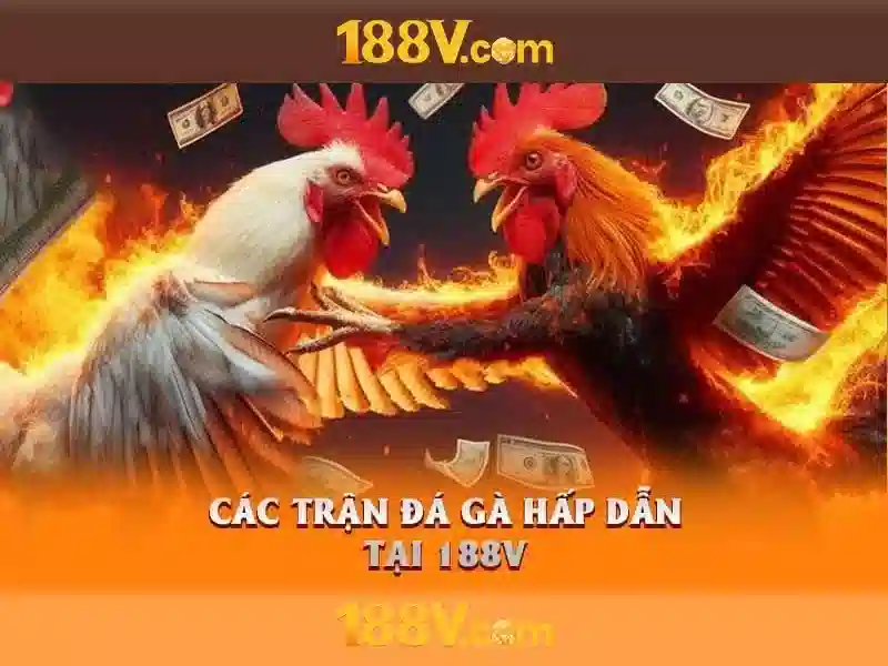 188v là gì? - một khái niệm và hành trình