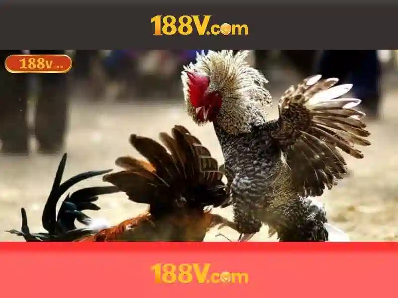 Giới thiệu về 188V