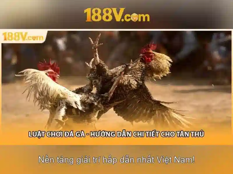 Tương lai của 188v