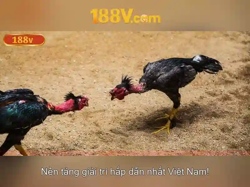 Nguồn gốc và ý nghĩa