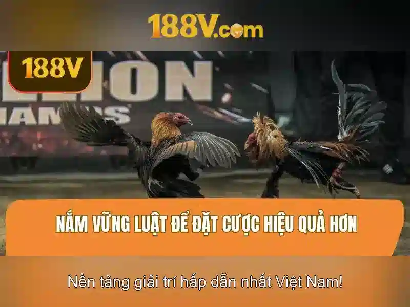 Khám phá 188v: ý nghĩa và ứng dụng