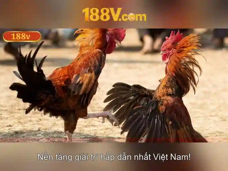 Chủ đề 188v: Khám phá và ứng dụng