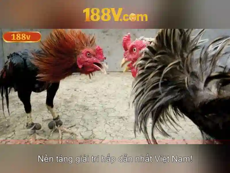 Ví dụ thực tế