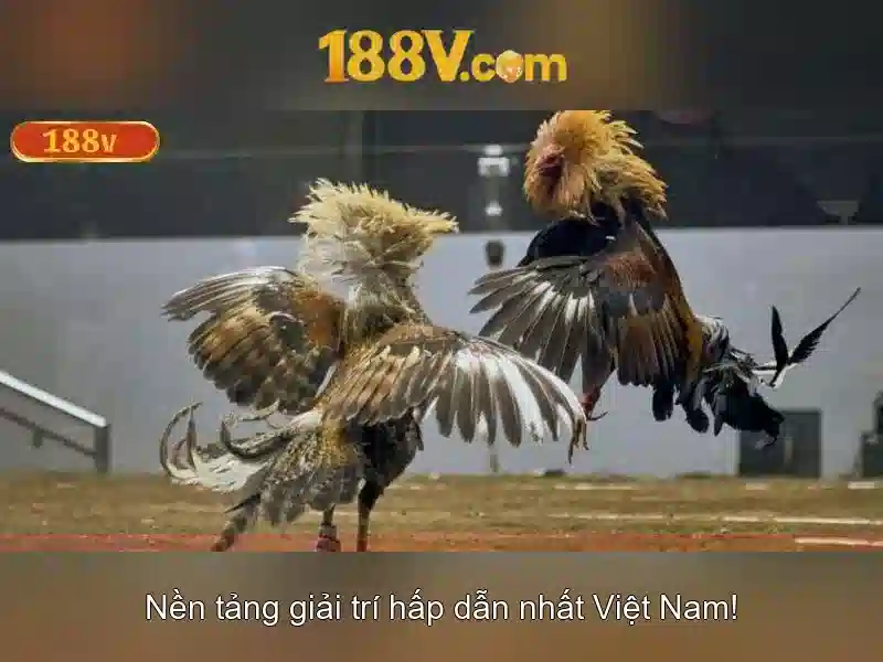 Biểu đồ kết quả xổ số
