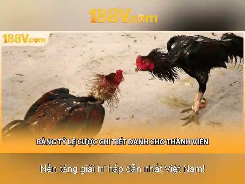 Khởi đầu của 188v