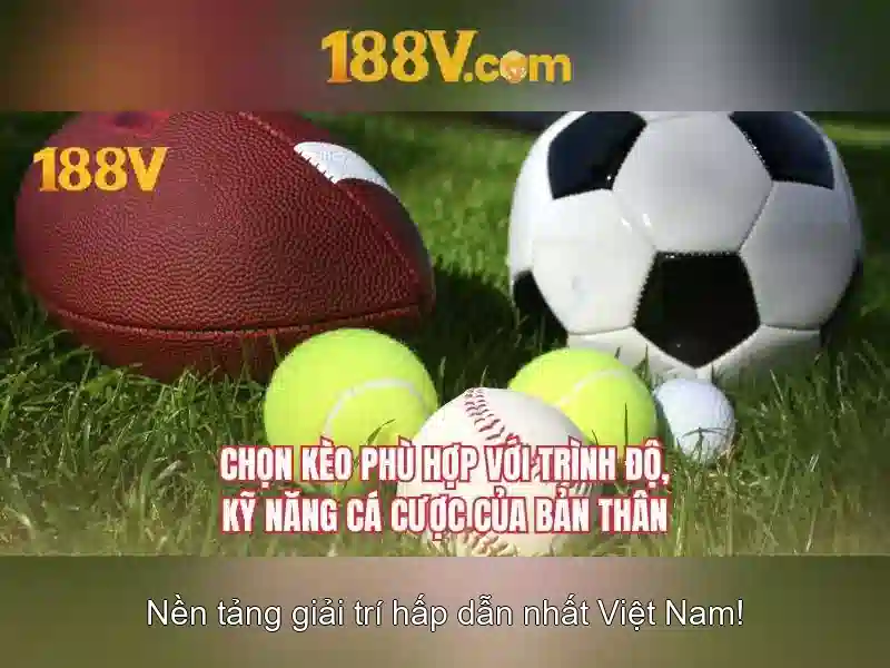 Kiểm tra và bảo trì định kỳ