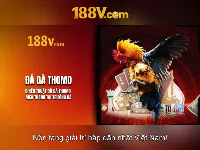 Khởi nguồn của 188v