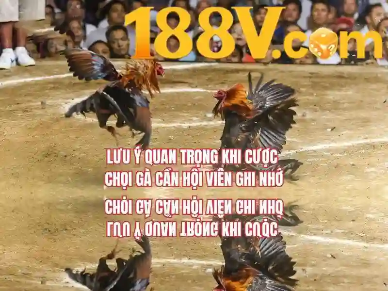 Khả năng và ảnh hưởng